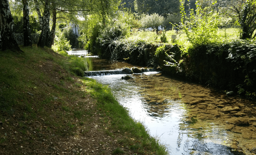 "Ningú es banya dues vegades en el mateix riu" - Heràclit d'Efes